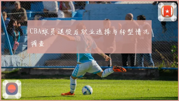 CBA球员退役后职业选择与转型情况调查