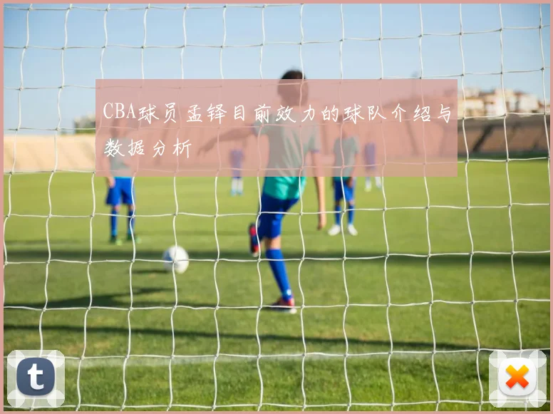 CBA球员孟铎目前效力的球队介绍与数据分析