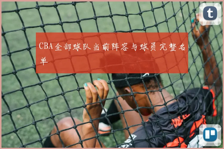 CBA全部球队当前阵容与球员完整名单